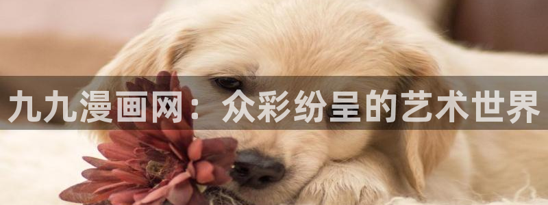 隐世华族漫画奇漫屋：九九漫画网：众彩纷呈的艺术世界